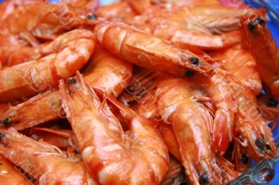 shrimp