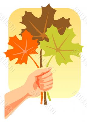 autumn leaves
