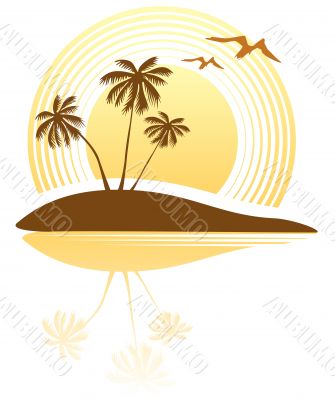 tropical island
