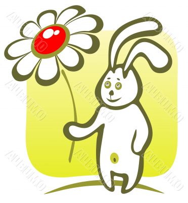 rabbit with flower