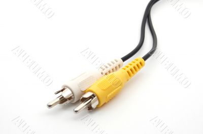 BNC connector