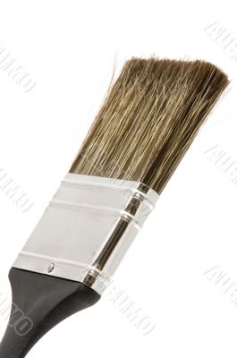 Brush on white