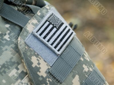 Th e USA flag