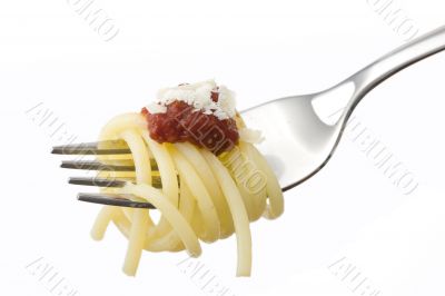 spaghetti
