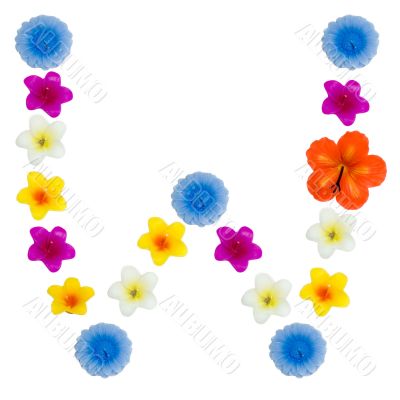 The Letter W