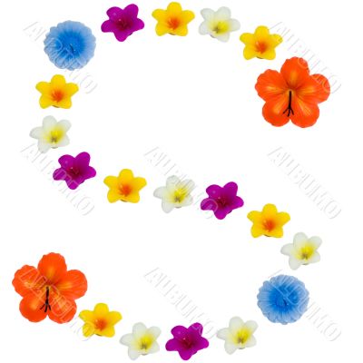 The Letter S