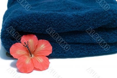 Spa Towel