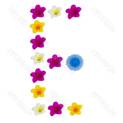 The Letter E