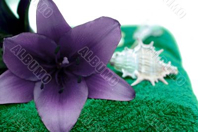 Closeup Spa Towel
