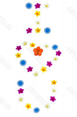 Floral Love
