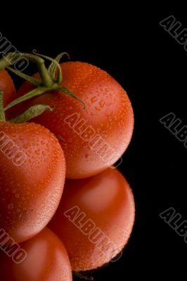 tomatoes