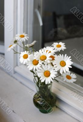 Bouquet of camomiles