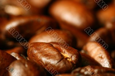 coffee beans