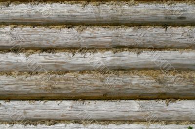 wood texture