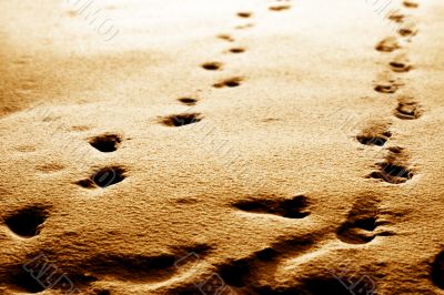 footprints