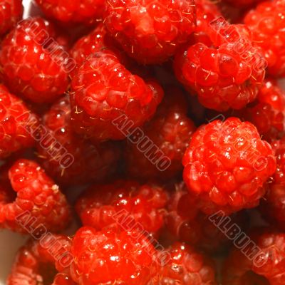 raspberry