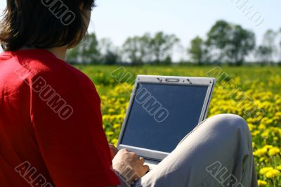 laptop nature work
