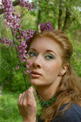 Blossom