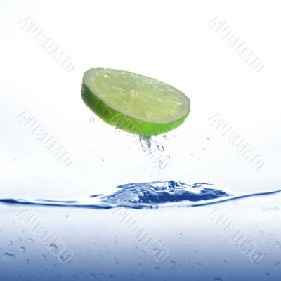 lime splash