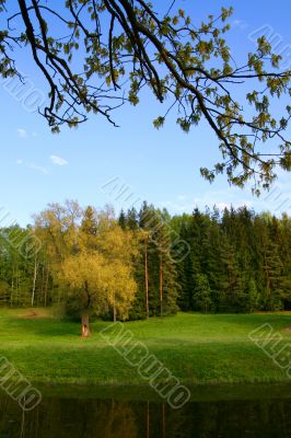Spring nature landscape