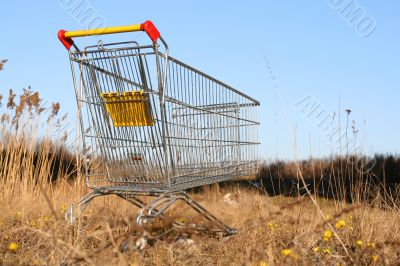 go shoping cart
