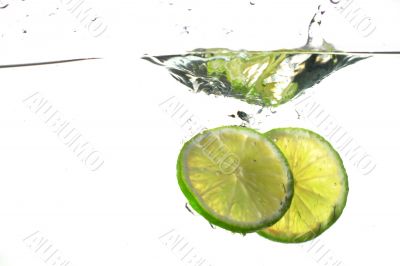 lime splash