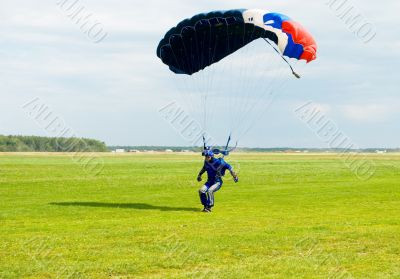 Landing of the sportsman after parachute jump