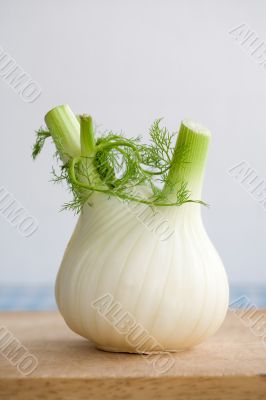 Fennel