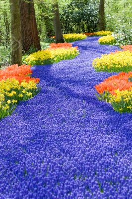 Field of Spring flowers