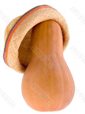 Pumpkin in the hat