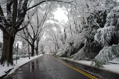 Winter in Washington DC
