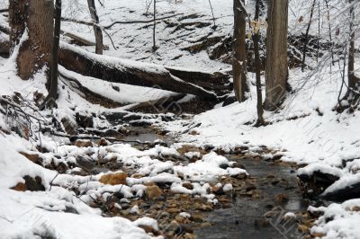 Winter in Washington DC, Rock Creek park