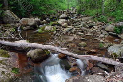 Wood river in Shenandoah