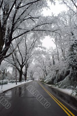 Winter in Washington DC