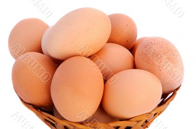 Eggs