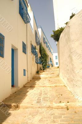Tunisian street