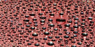 water-drops on red