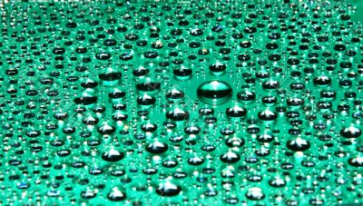 water-drops on green