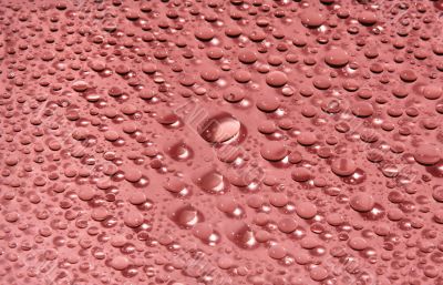 water-drops on red