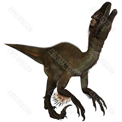 Utahraptor ostrommayorum