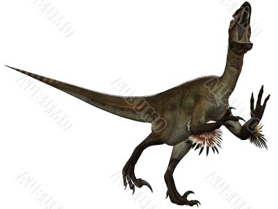 Utahraptor ostrommayorum