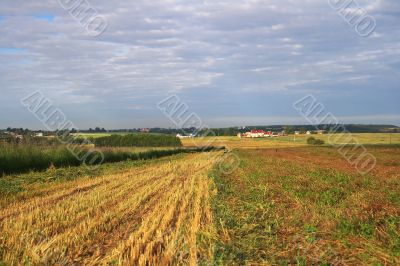 Rural landscape