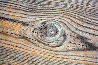 Wood texture