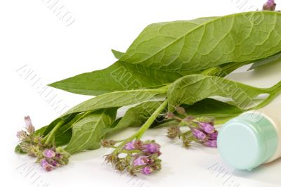 Comfrey_Cream