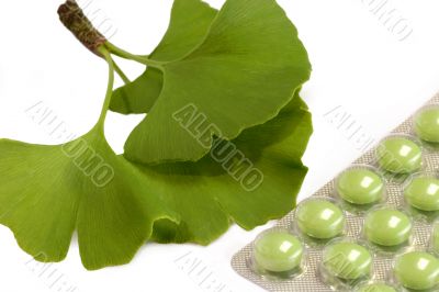 Gingko Pills