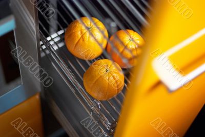 Orange in kitchen in fridge