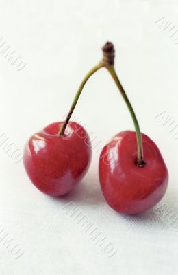 Red cherry in two faces