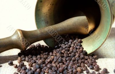 Pepper, pounder and pestle