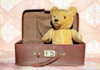 Retro Teddy bear in old suitcase