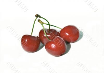 Red cherries in four faces